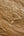 Collar de Conchas del Mar